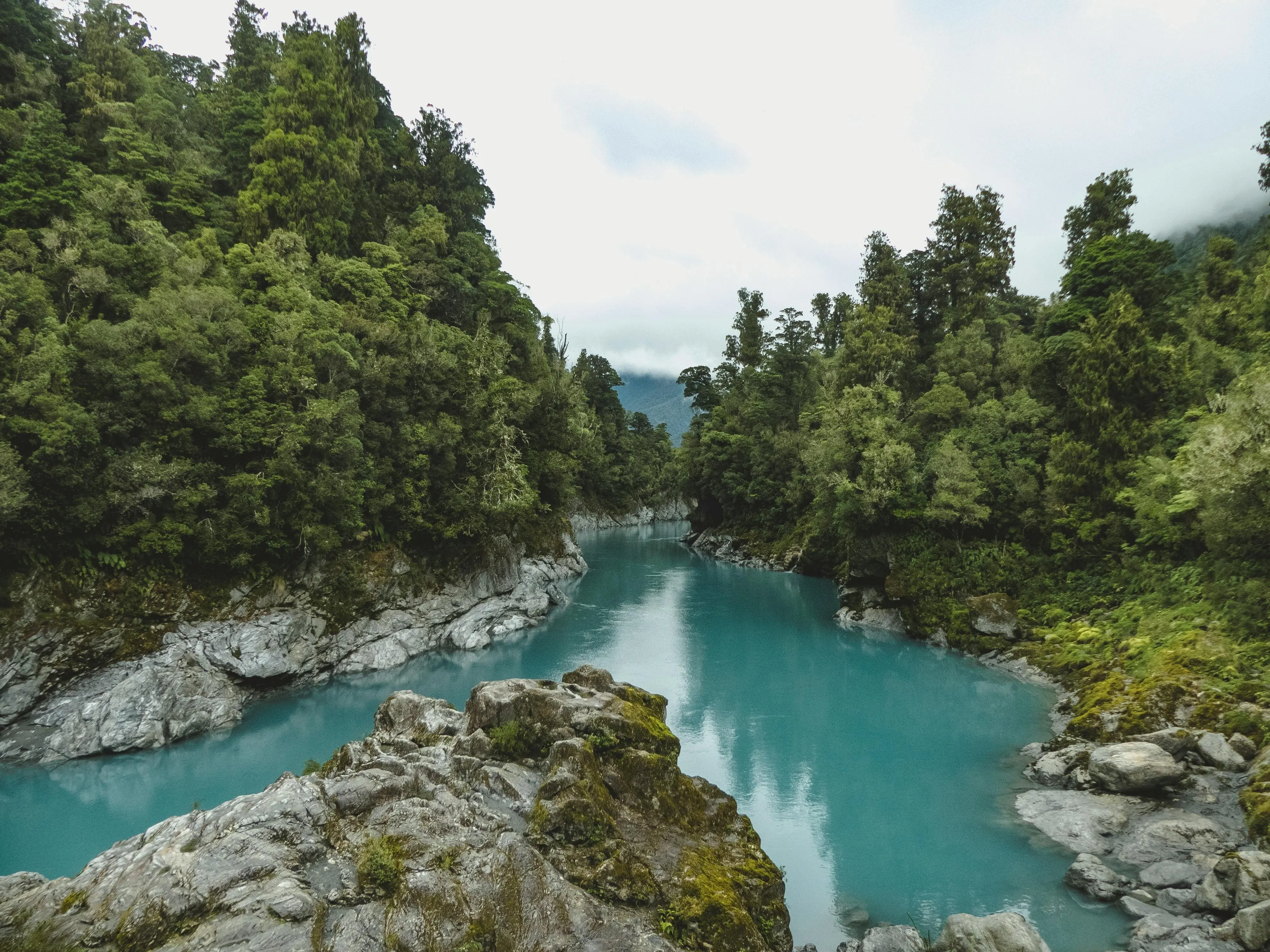  New Zealand Visit | Tourist Visa