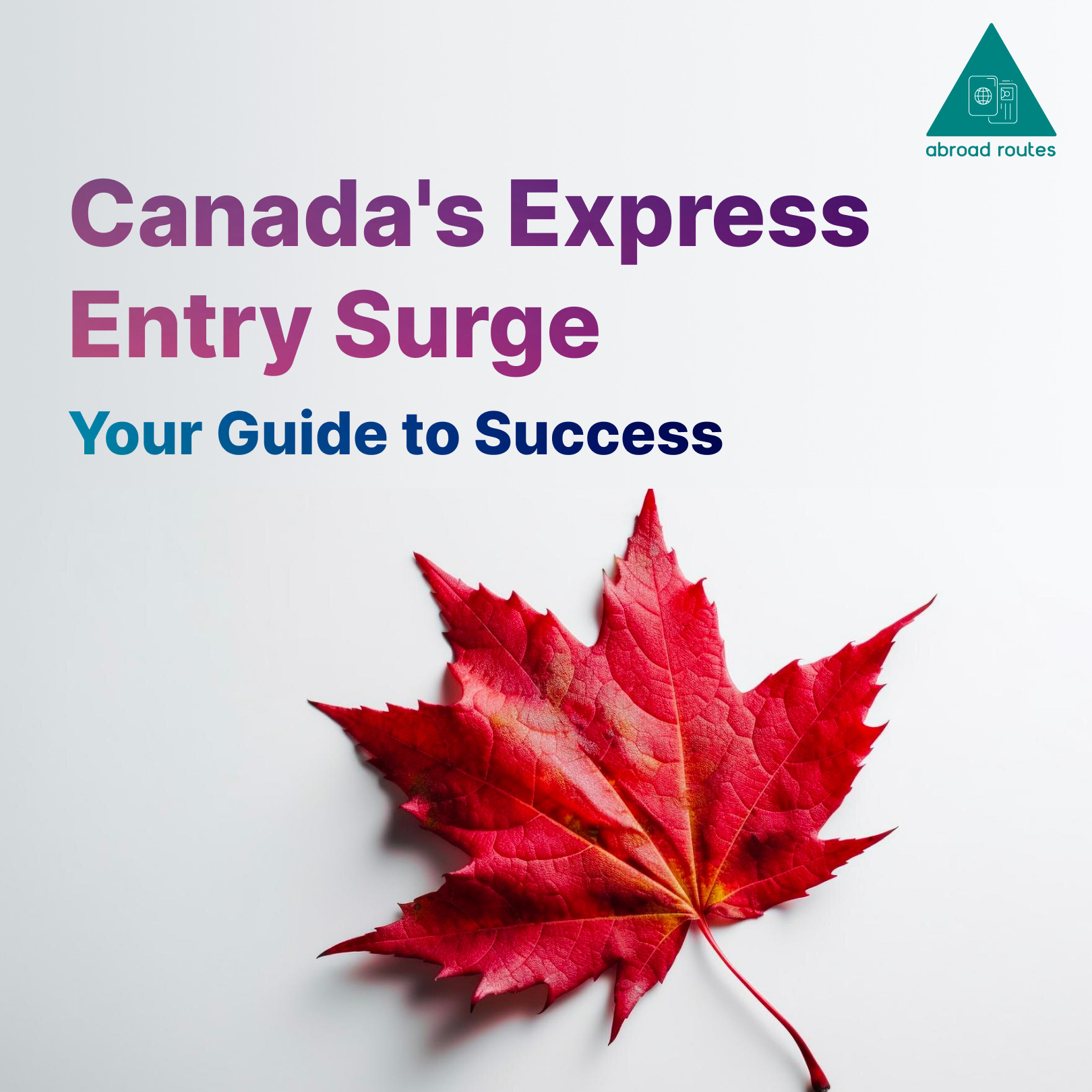 Canada Express Entry Draws Surge: Are You Ready? A Comprehensive Guide
