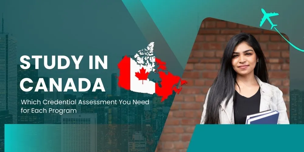 study in canada consultants